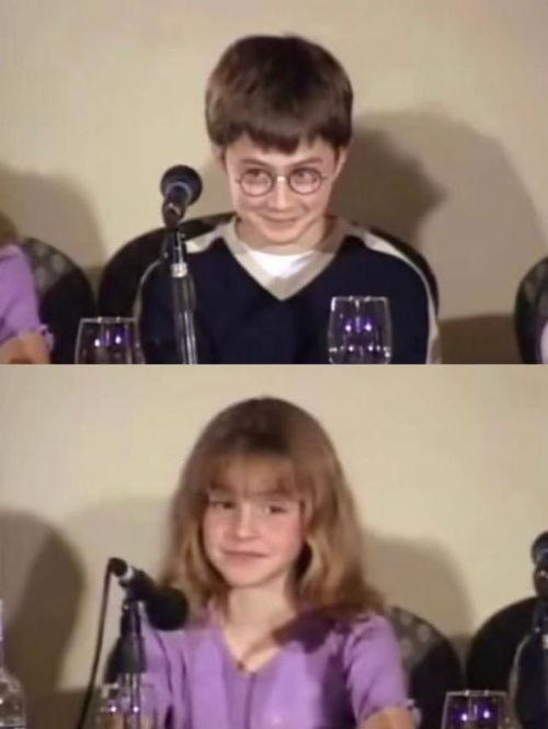 哈利最近爆料视频播放  第1张