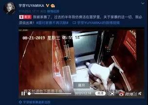 网红爆料家暴视频大全最新,触目惊心的家庭暴力真相 第2张 网红爆料家暴视频大全最新,触目惊心的家庭暴力真相 第2张